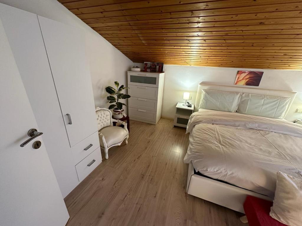 브레싸노네 Plose Panorama House 아파트 외부 사진